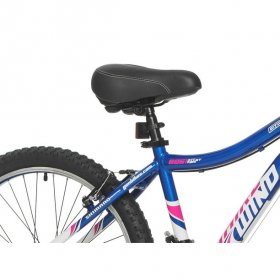 Genesis 24" Whirlwind Girl's Mountain Bike,Tween/Adult, Blue